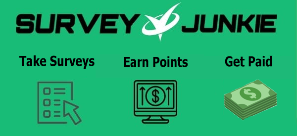 earn money from survey