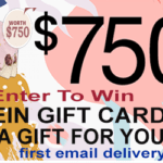 shein gift card