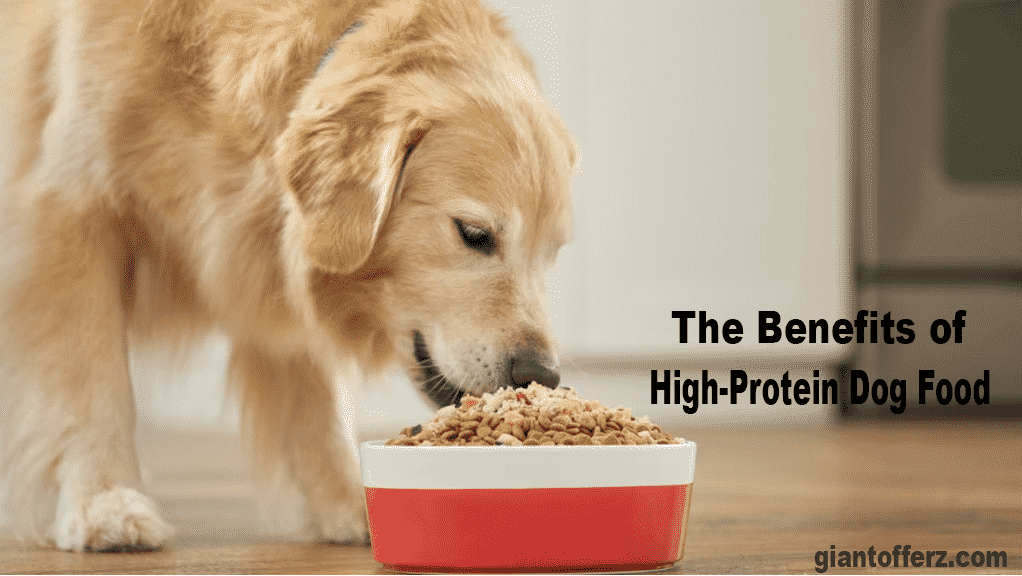 The Benefits of High Protein Dog Food
