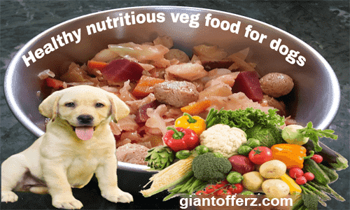 homemade vegan dog food recipes