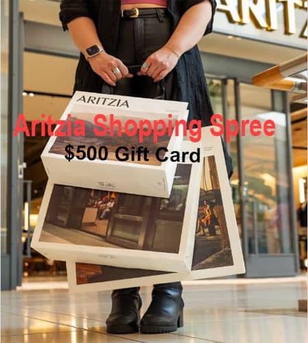 Aritzia Shopping Spree