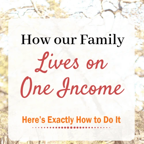 How to Live On One Income